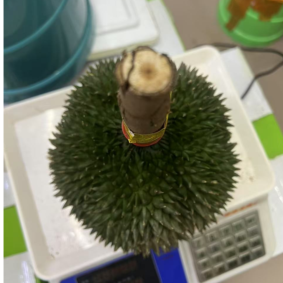 【长柄】泰国空运鲜榴莲3-8斤【核小】长柄泰国