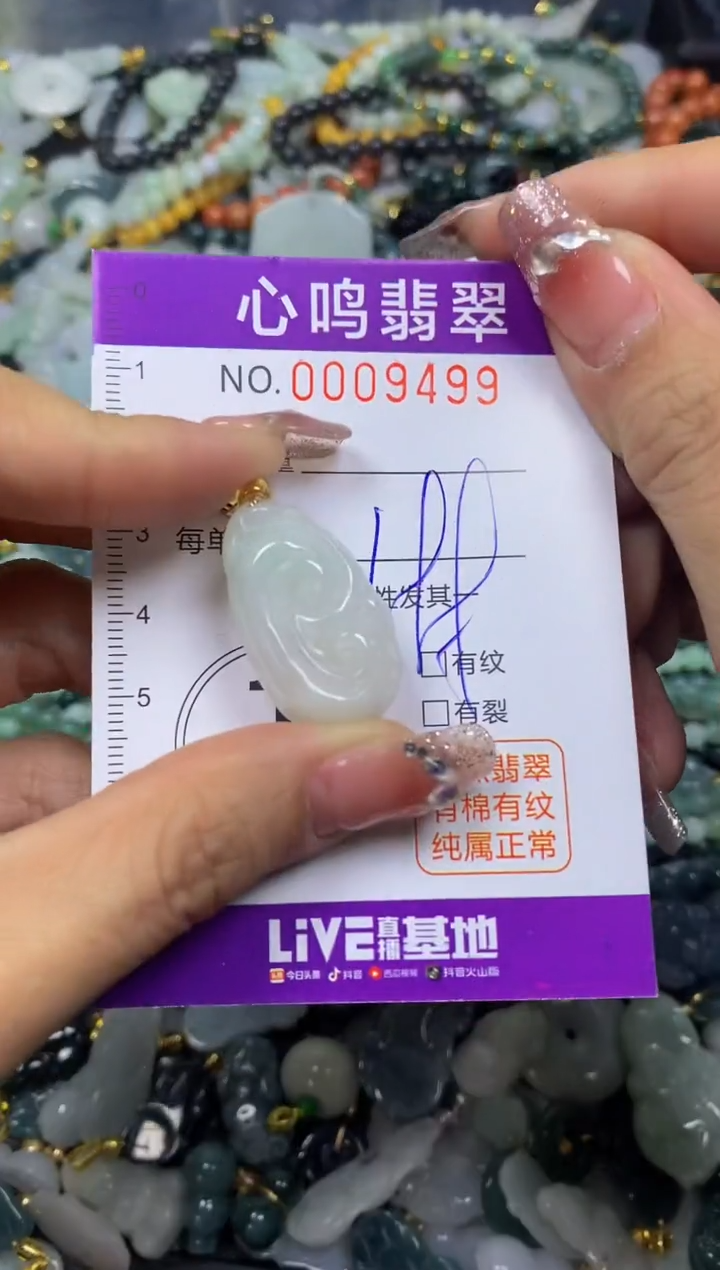 【闪购商品】翡翠颈饰未镶嵌闪购009499