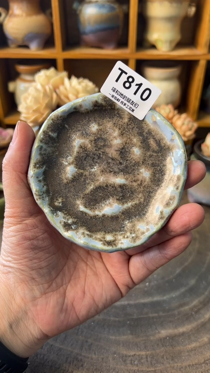 G**c810【多肉花盆多肉盆】