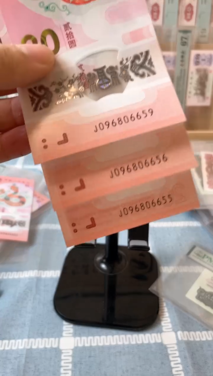 【闪购商品】小蛇金马王.可挑号.不退不换.