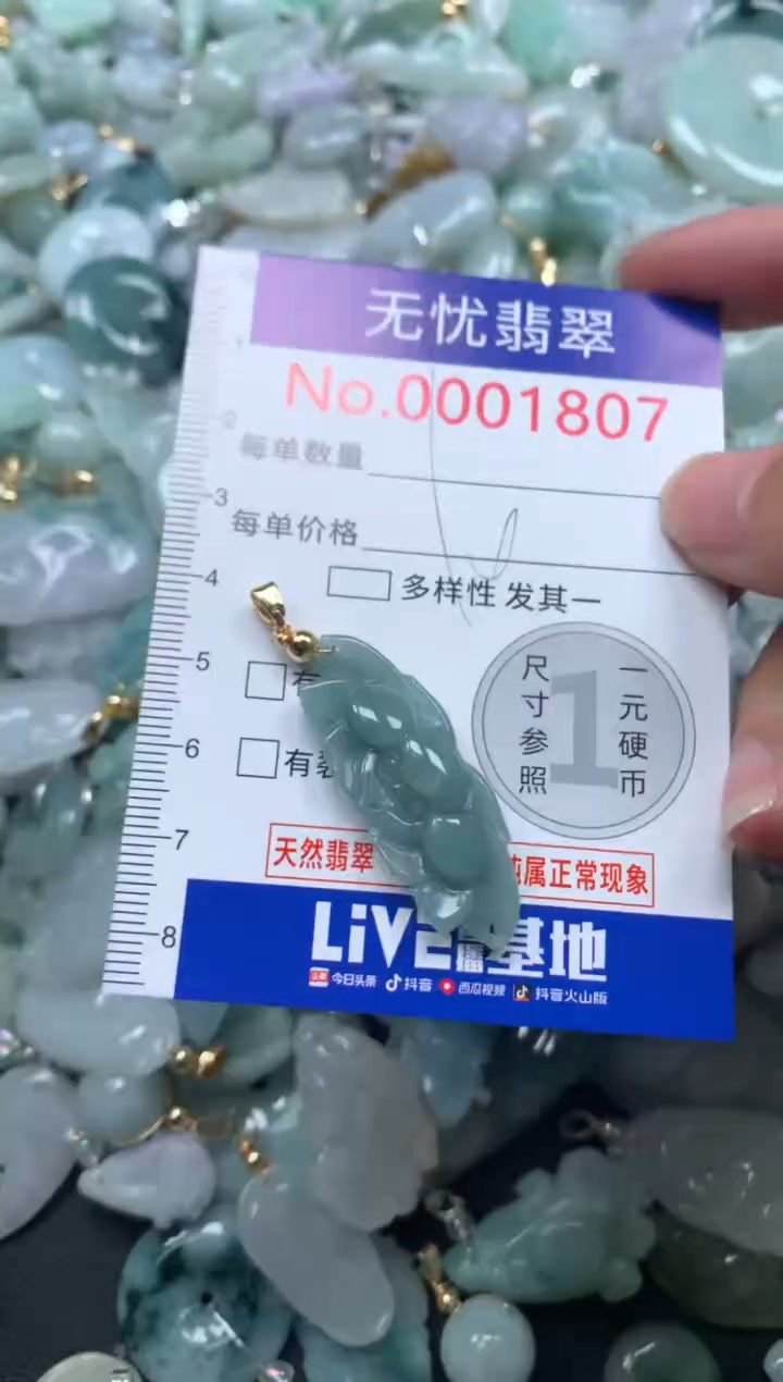 颈饰未镶嵌翡翠1807