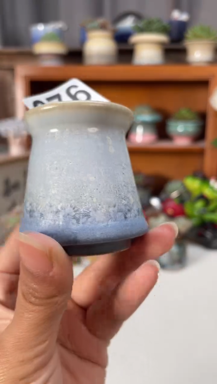 瓷片676小芳直播编号