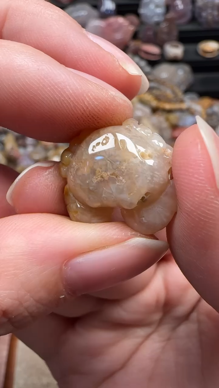 颈饰未镶嵌硅化珊瑚（珊瑚玉）099