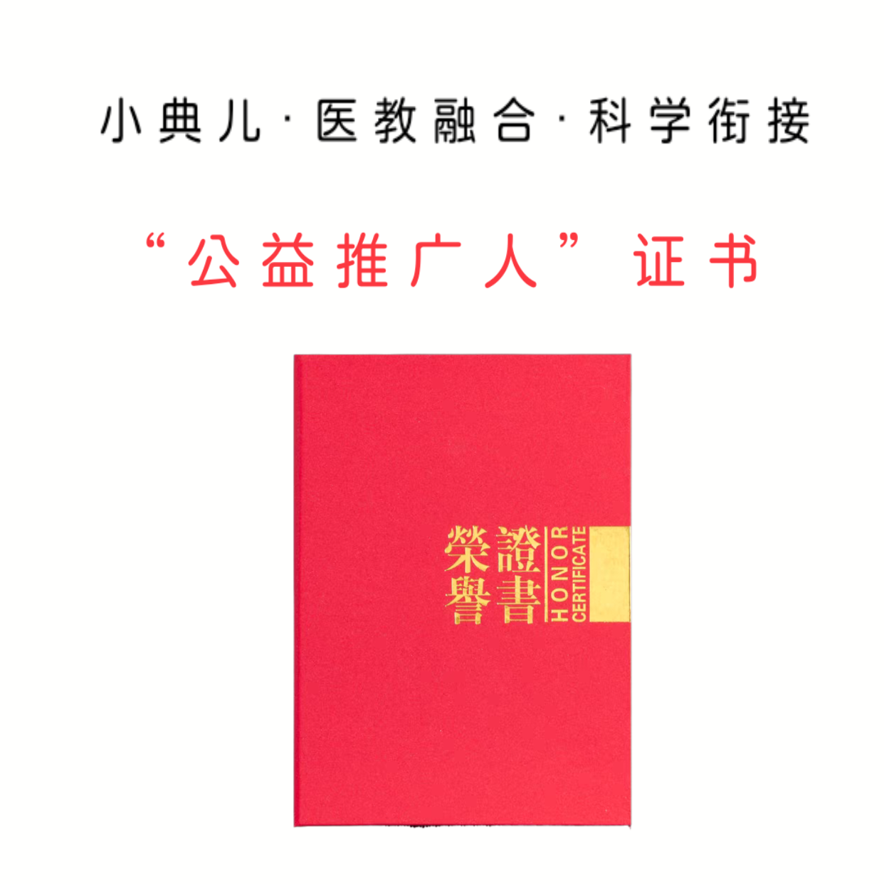 公益师训荣誉证书
