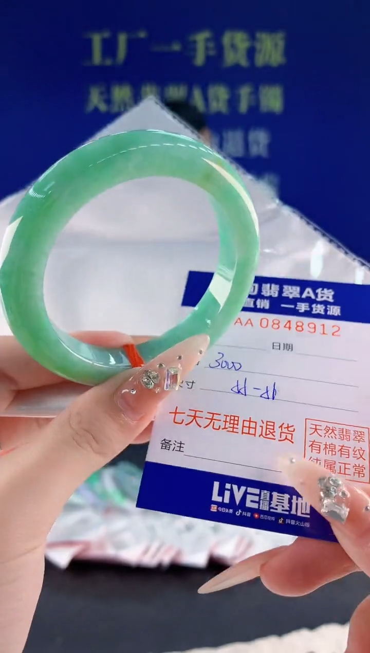 未镶嵌手镯翡翠12