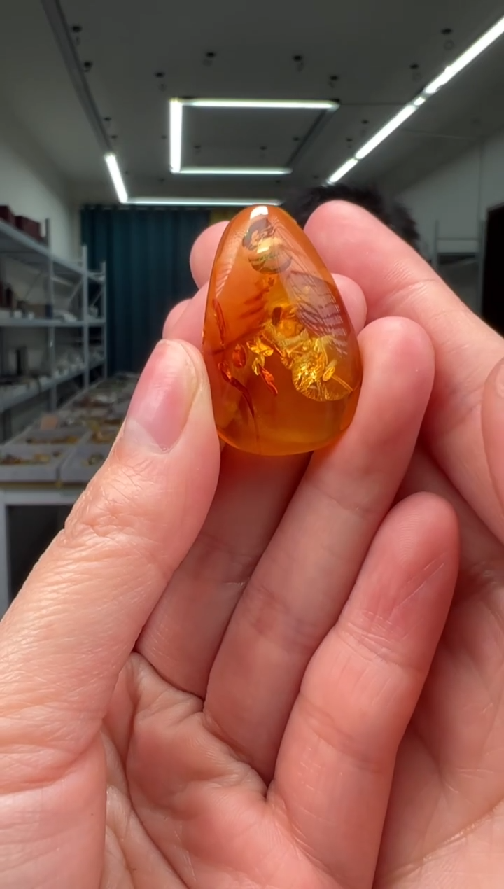 琥珀颈饰未镶嵌吊坠