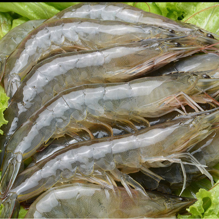 5斤整盒海虾12-15厘米/只，15-20个/斤，薄冰锁鲜发货介意勿拍