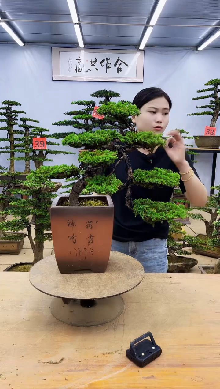 无花朵一物一拍，所见即所得