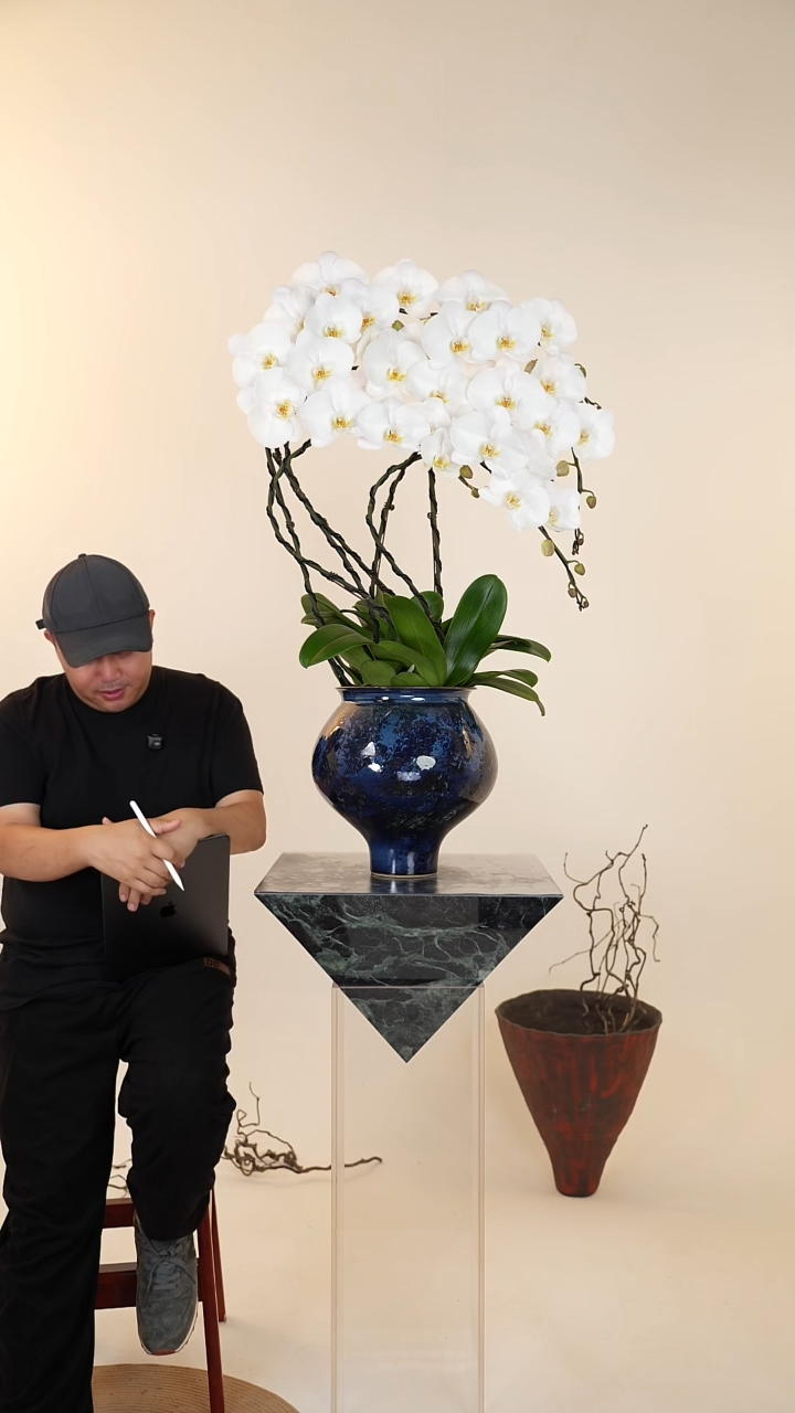 全部花朵002号【一物一拍】蝴蝶兰