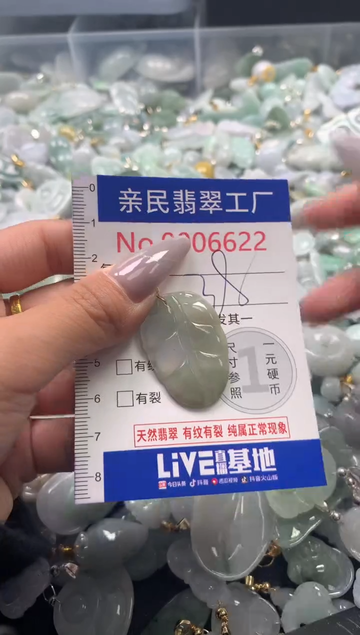 颈饰未镶嵌翡翠6622