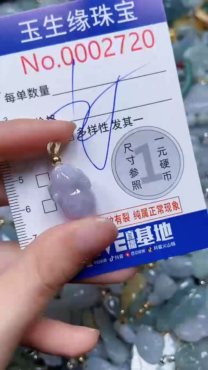 【闪购商品】翡翠颈饰未镶嵌闪购00002720
