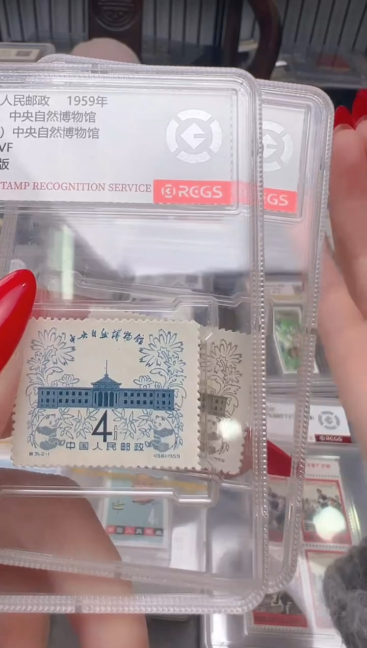 【闪购商品】特31 中央自然博物馆 封装
