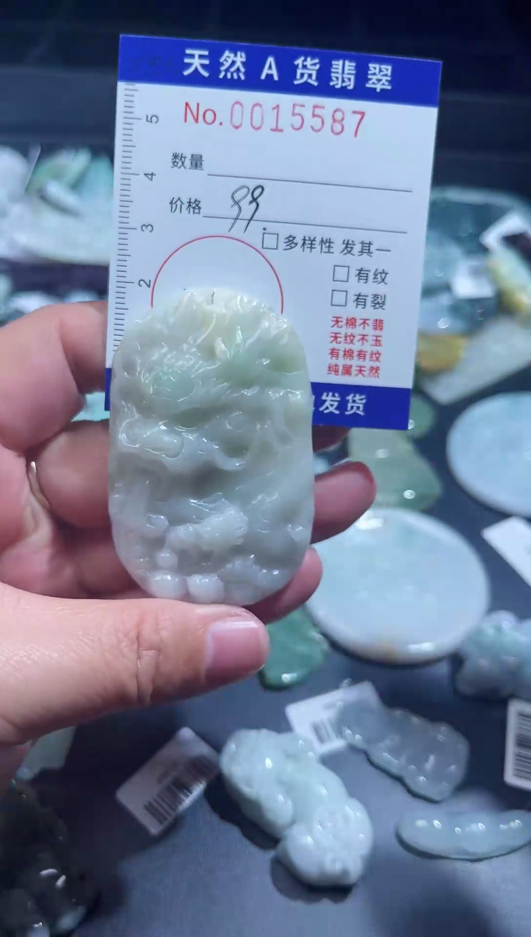 【闪购商品】翡翠颈饰未镶嵌天然翡翠15587