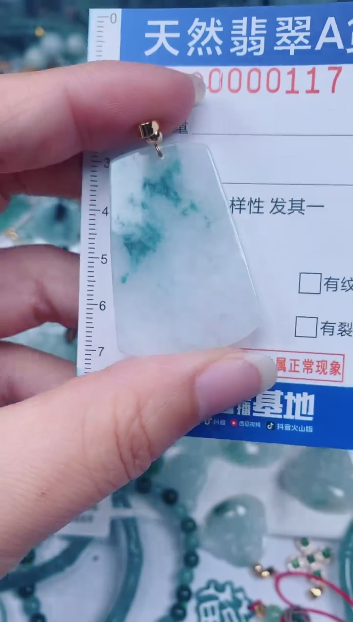 颈饰未镶嵌翡翠00000117