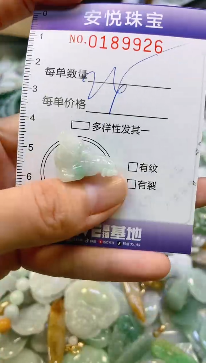 翡翠未镶嵌颈饰闪购0189926