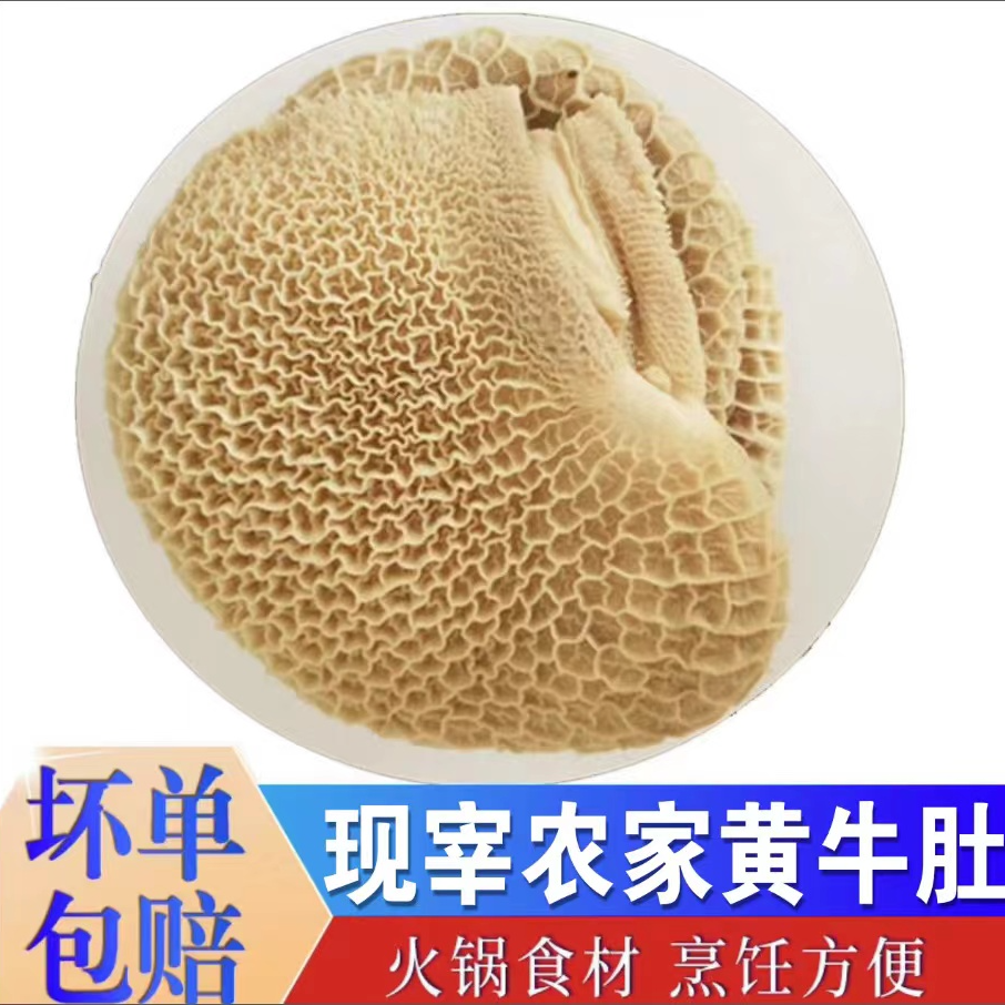 华济澳兰清真国产 原味熟金钱肚 新鲜现煮冷链优选 现煮现卖