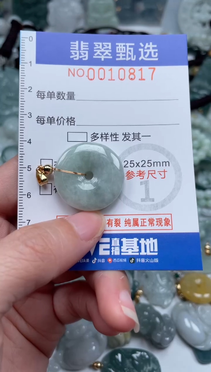 颈饰未镶嵌翡翠10817