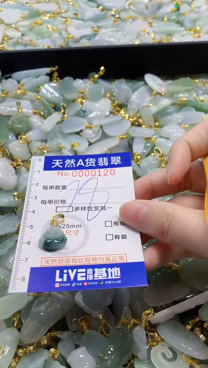 颈饰未镶嵌翡翠天然A货翡翠