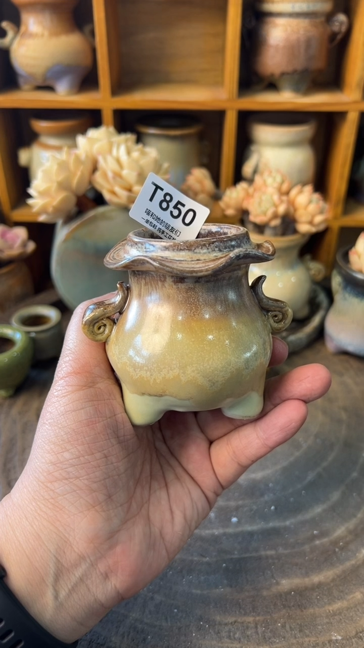 850 内口4【多肉花盆多肉盆】