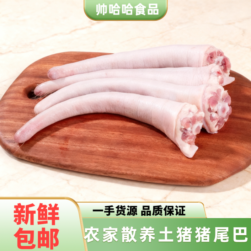 限量精品土猪新鲜长尾巴30cm以上猪尾巴生鲜可红烧煲汤食材