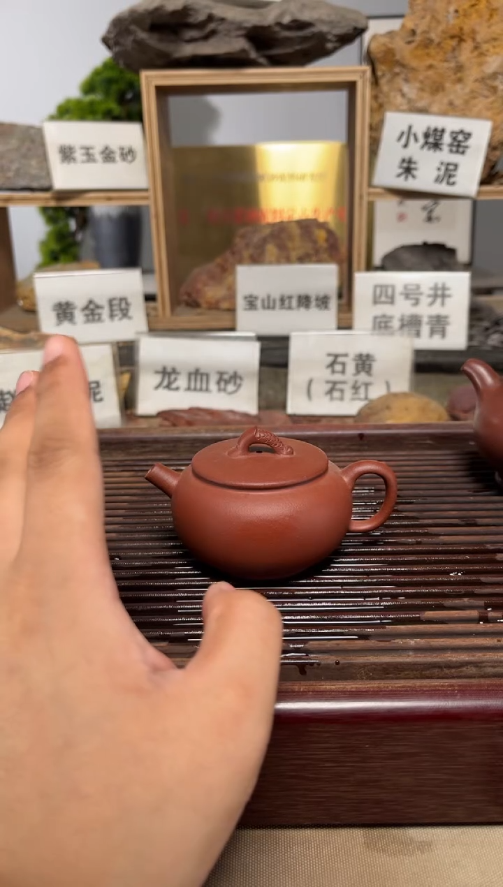 茶壶紫砂红皮龙大彬诗意