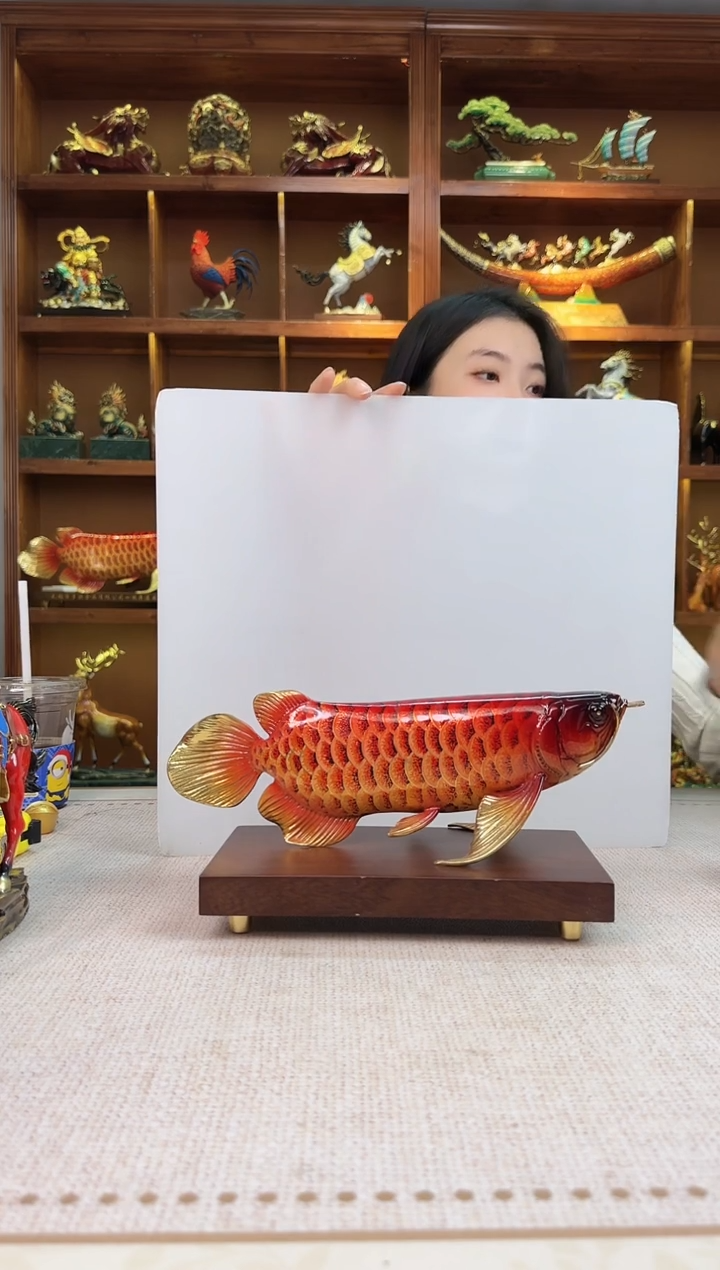 黄铜抖*儿小号30金龙鱼