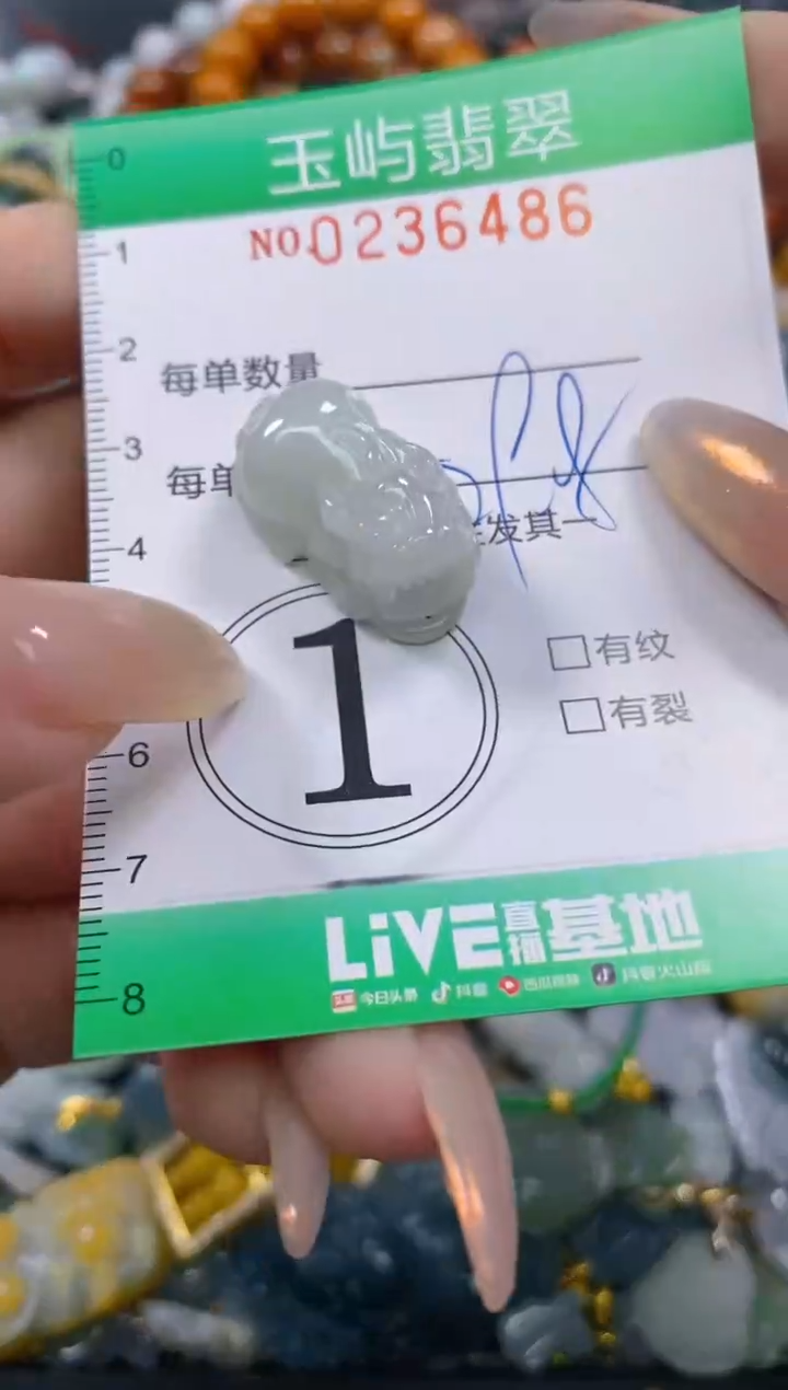 颈饰未镶嵌翡翠闪购0236486