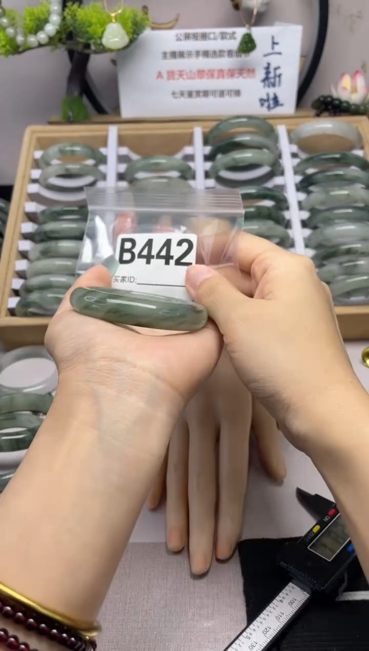 【闪购商品】石英质玉（天山翠）手镯未镶嵌b442