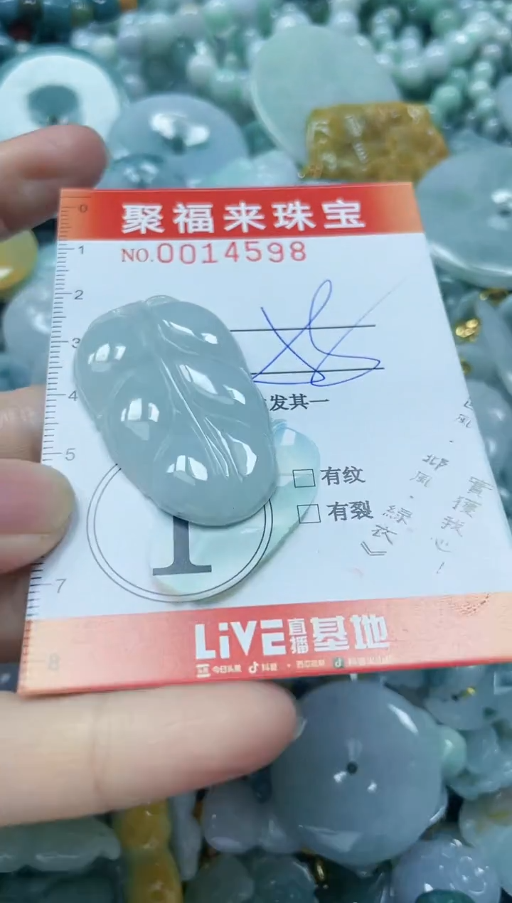 【闪购商品】翡翠颈饰未镶嵌闪购0014598