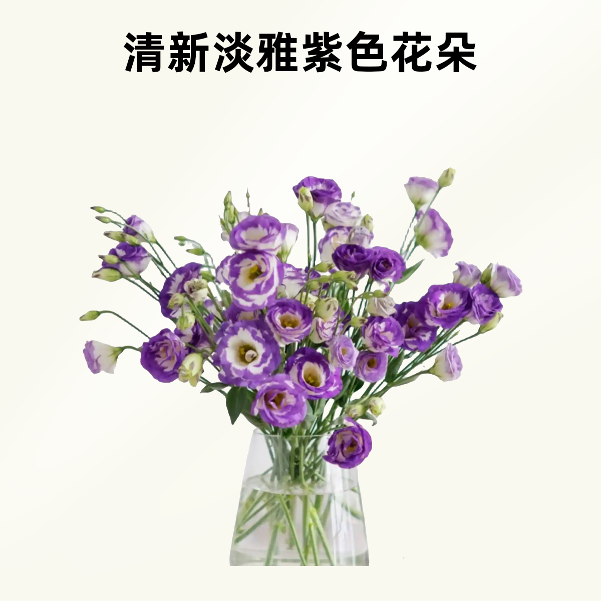 【美好假日】波浪紫洋桔梗10支