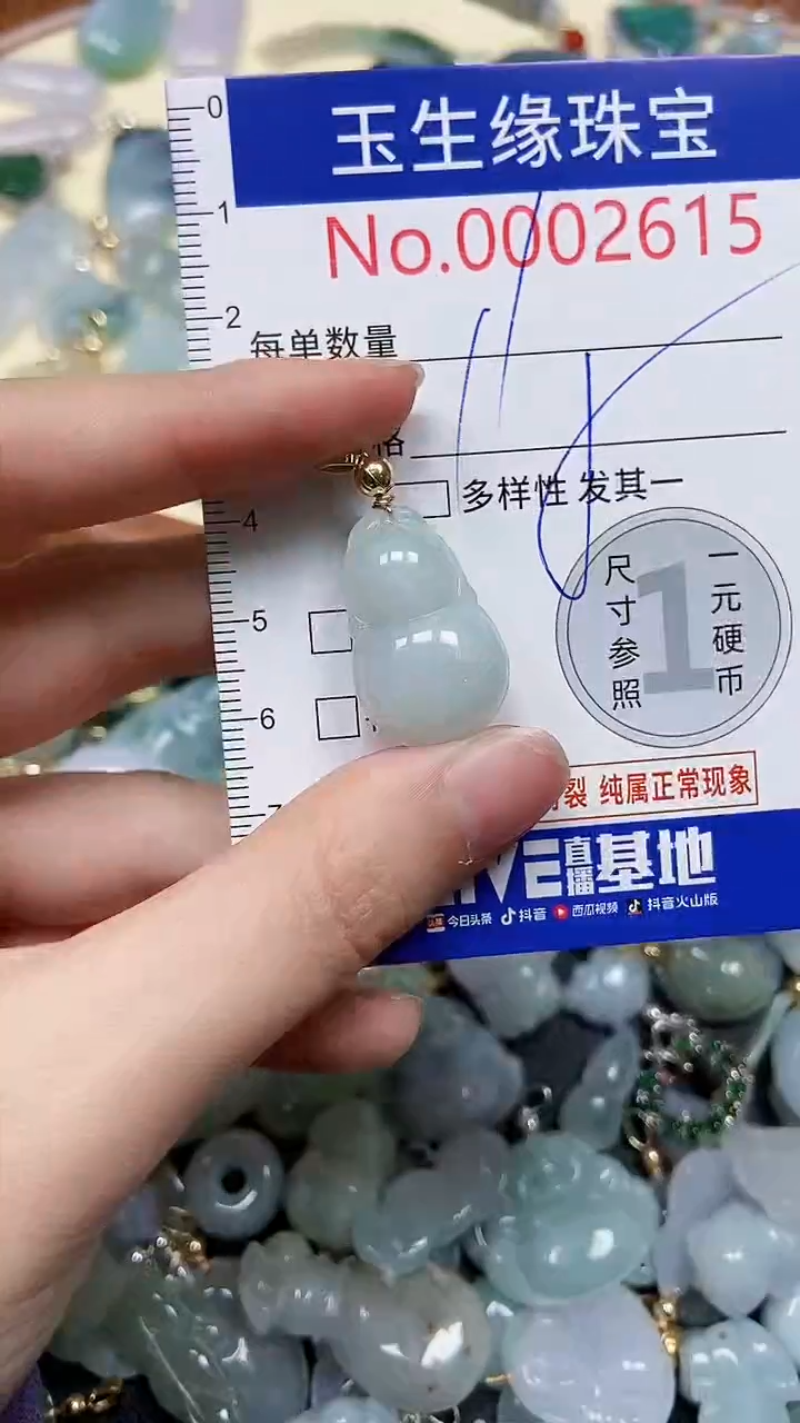 【闪购商品】翡翠颈饰未镶嵌闪购00002615