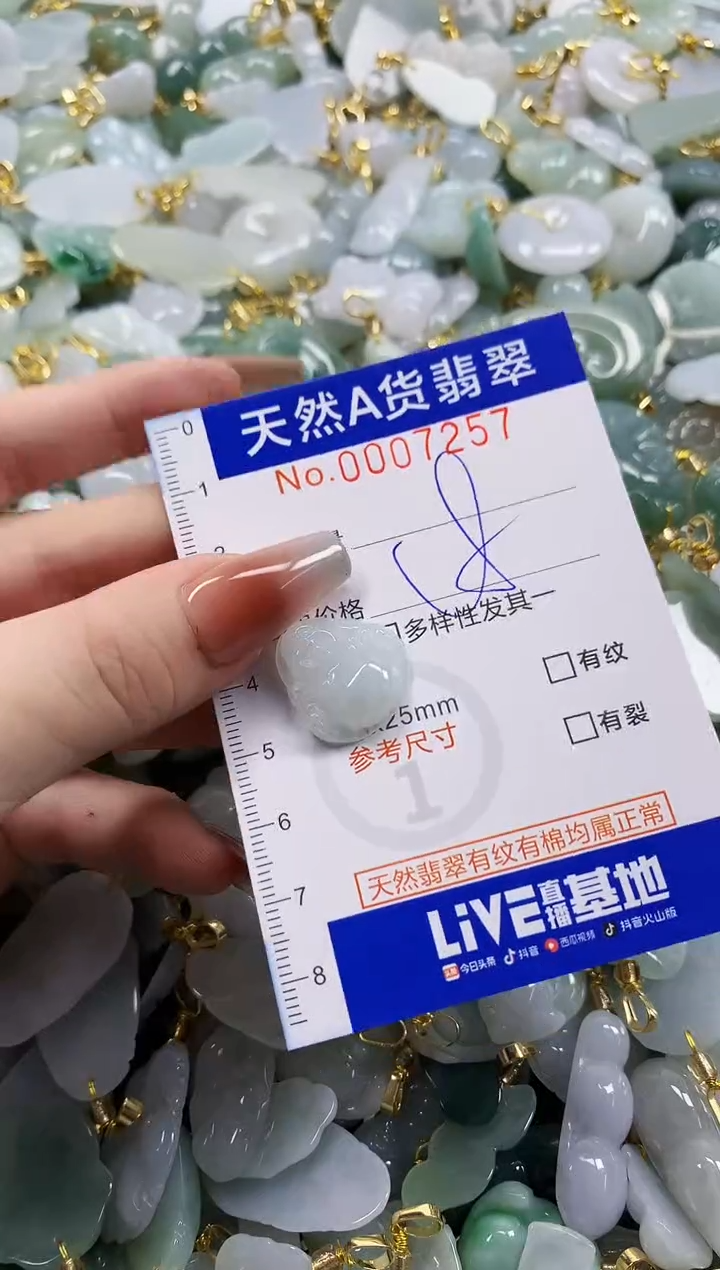 颈饰未镶嵌翡翠天然A货翡翠