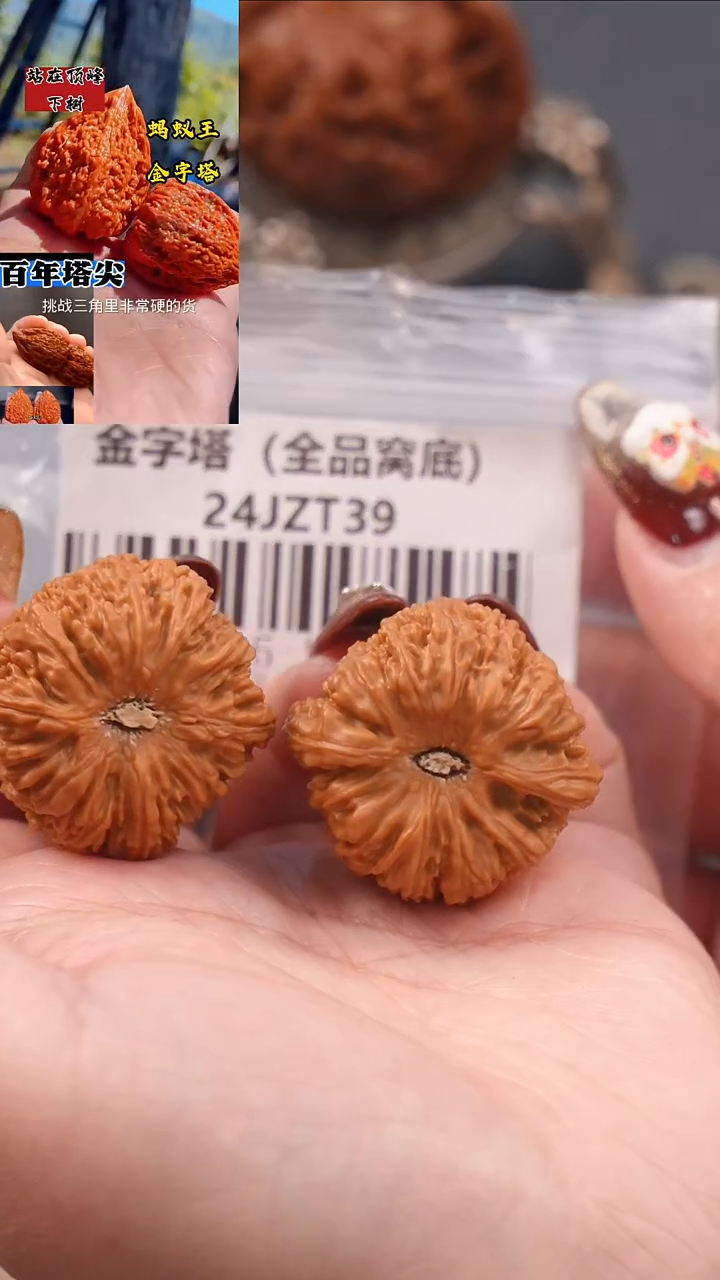 【闪购商品】文玩核桃把件35.5蚂蚁王金字塔（全品）