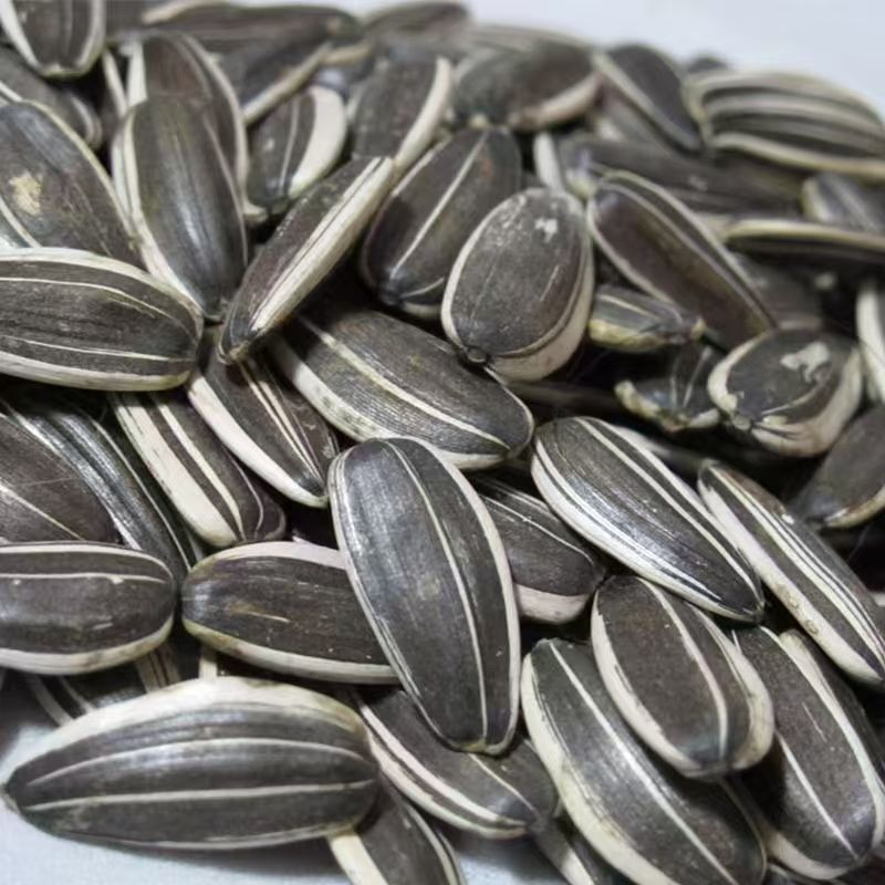 【1斤*2袋】原味瓜子炒熟葵花子当季大粒原味瓜子干果炒货年货批发