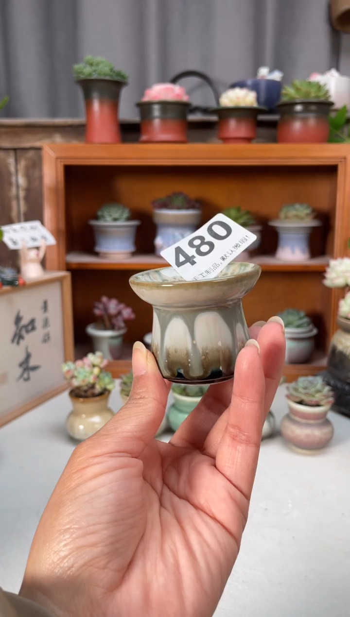 瓷片480小芳直播编号