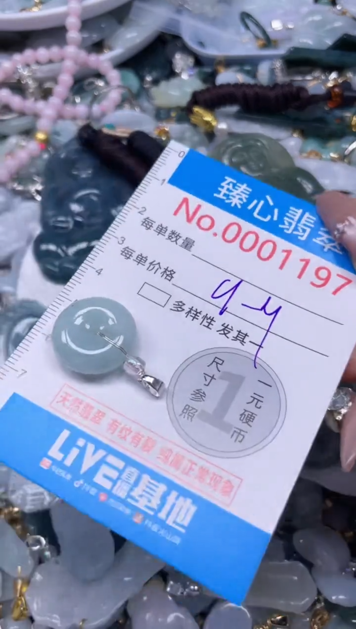 颈饰未镶嵌翡翠1197