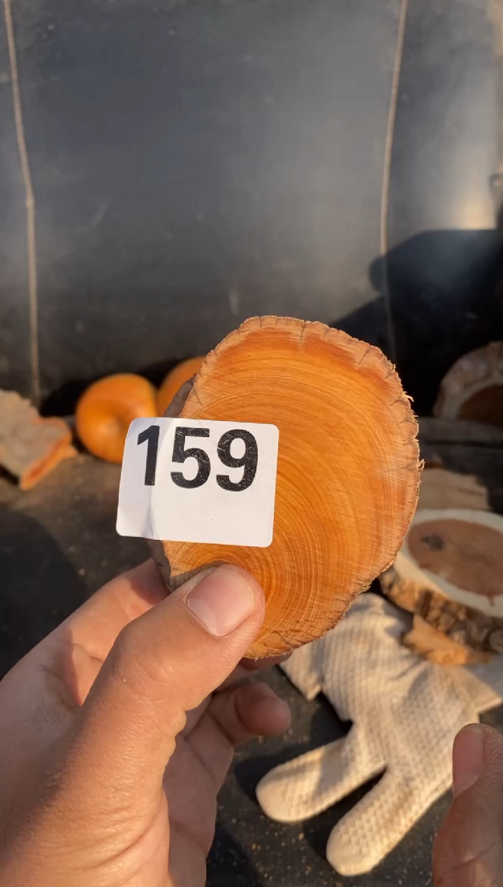 柏木（崖柏）太行陈化崖柏切片！随机（1单1片）159