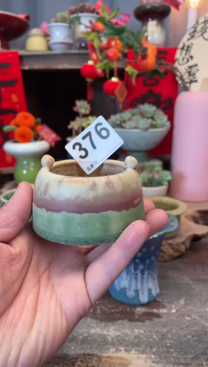 【闪购商品】摆件376知木小芳花盆