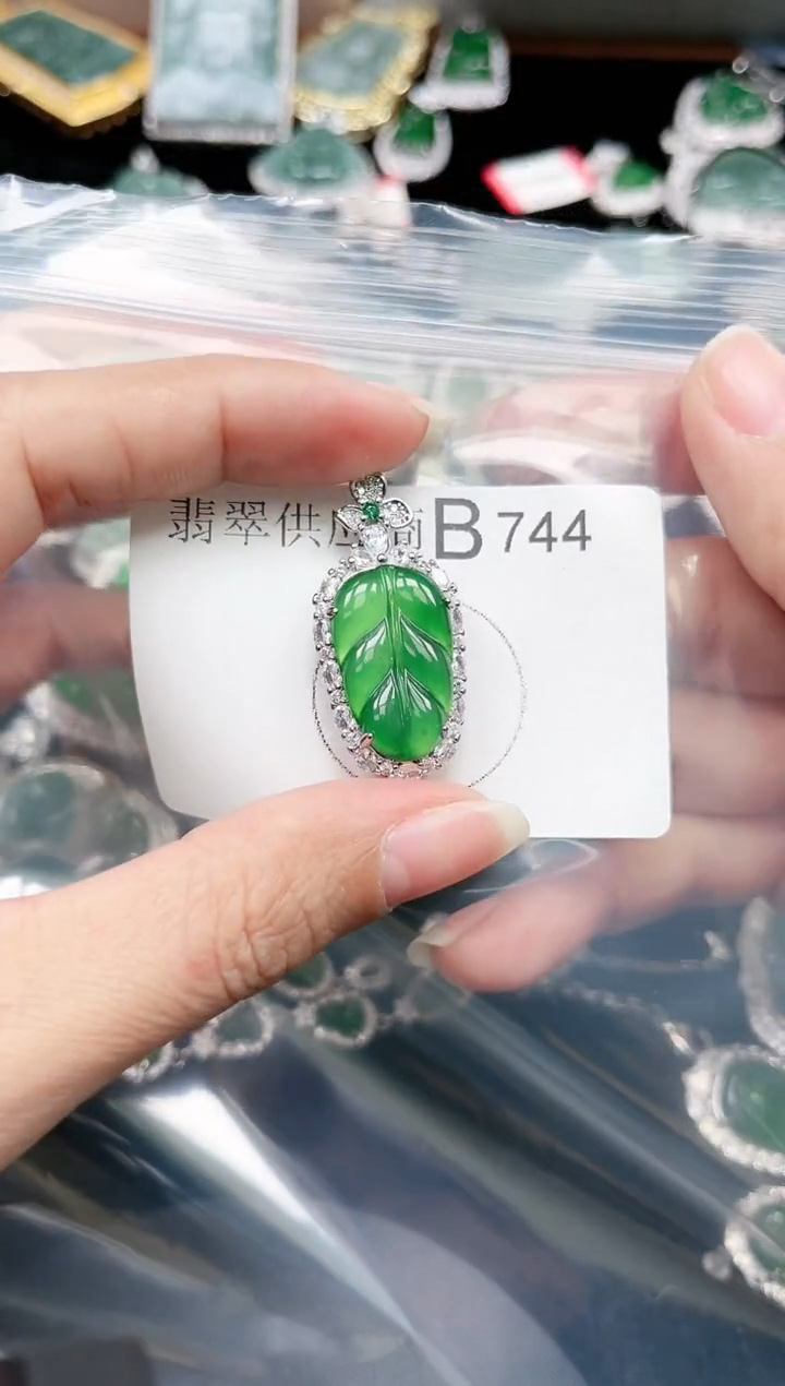 【闪购商品】翡翠颈饰未镶嵌赠皮绳744