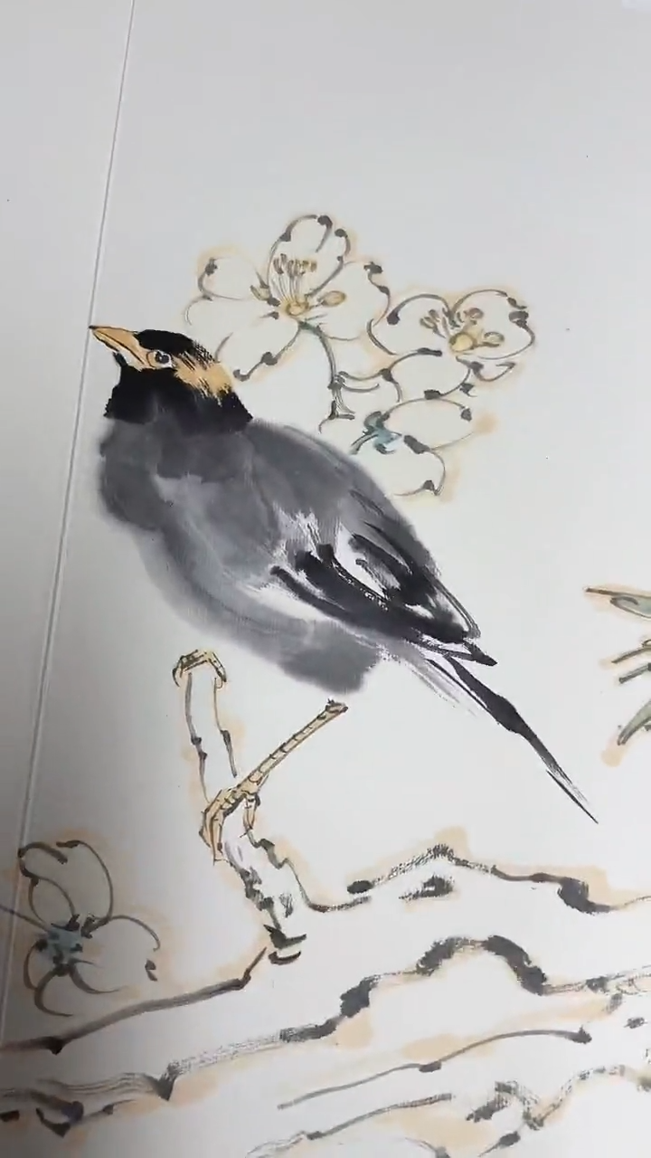 【闪购商品】国画原作花鸟册页（十副原作）