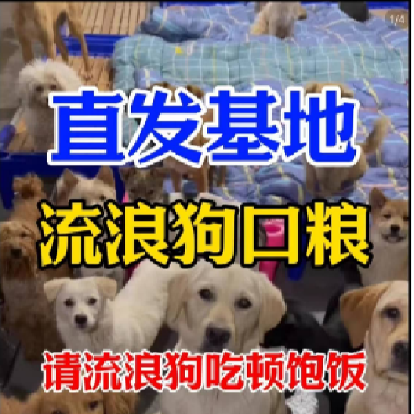 爱心犬粮-投喂专属（自拍勿用）-下单默认发基地-地址写自己的