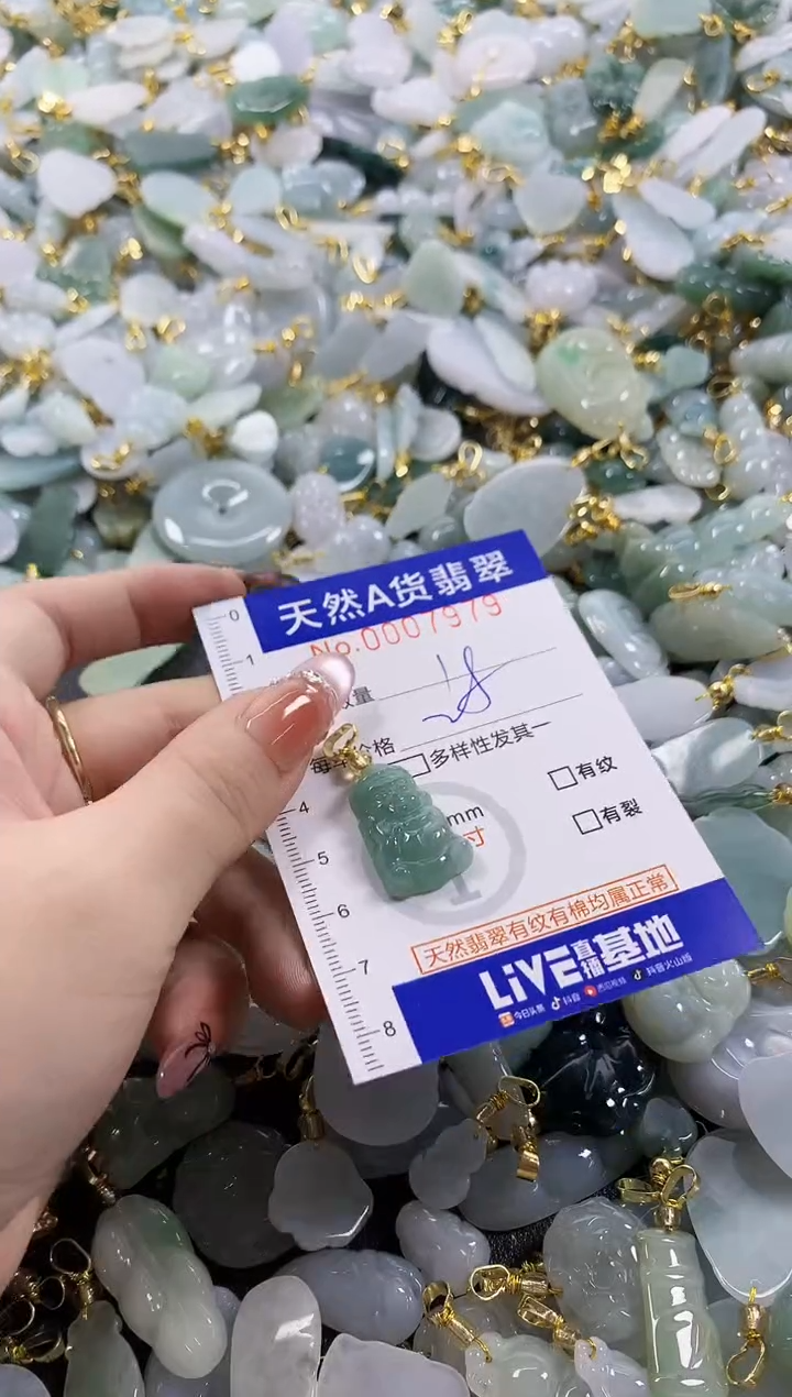 颈饰未镶嵌翡翠天然A货翡翠