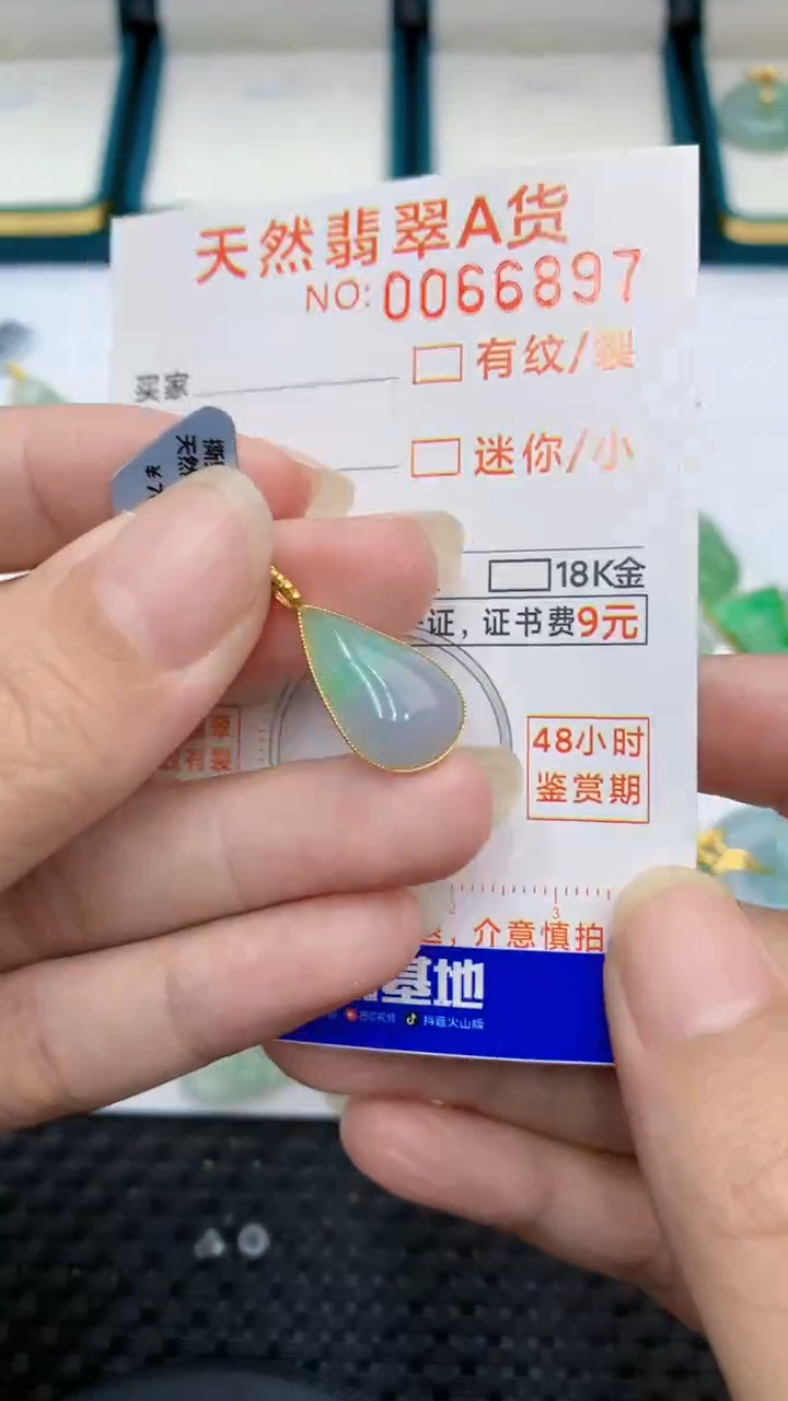 【闪购商品】翡翠颈饰18K金镶嵌            8