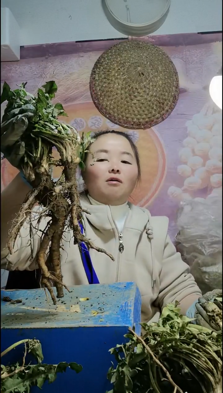 少量花朵（建议范围：2朵-5朵 或40%以下）牛*蒲公英