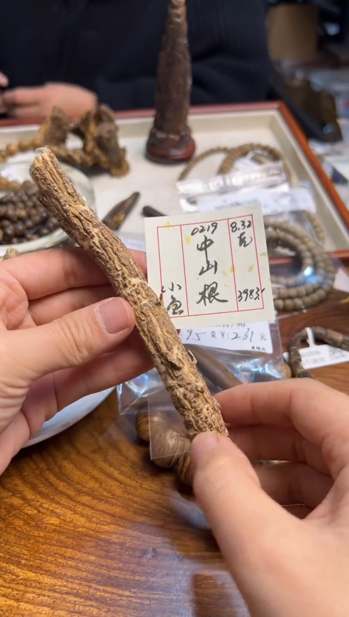 【闪购商品】木0219中山根    8.32克