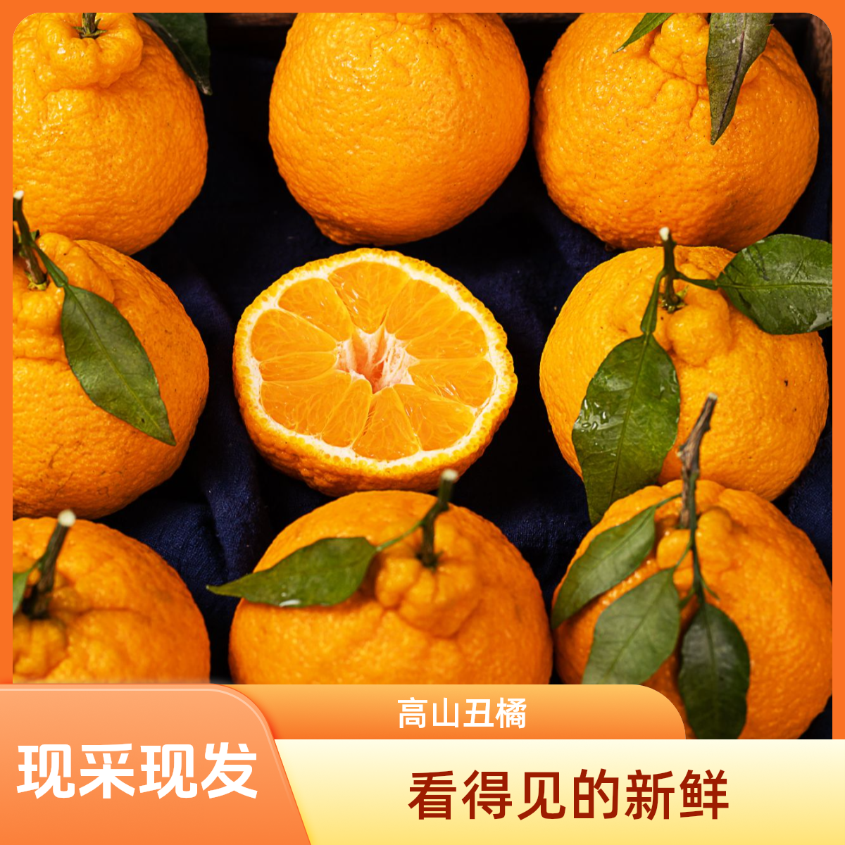 高山丑橘丑八怪新鲜应季水果橘子整箱桔子XX