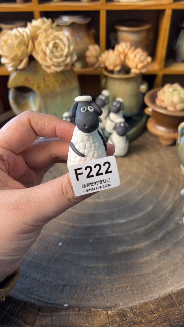 樱***子222【多肉花盆多肉盆】