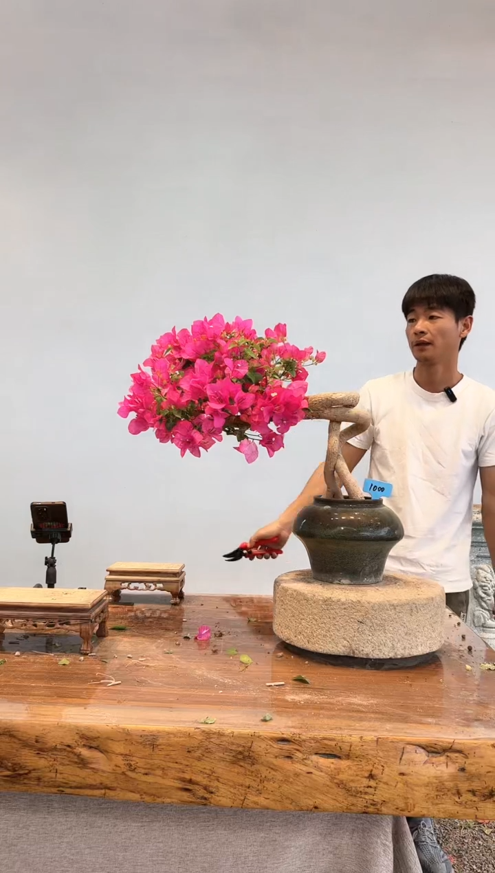 【闪购商品】aa1000