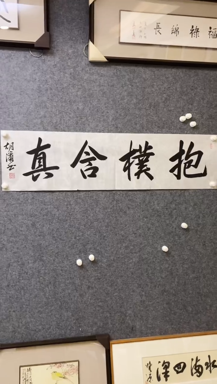 【闪购商品】书法HB软片 04  抱朴含真