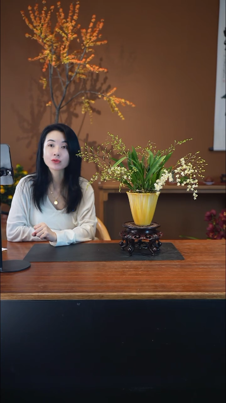 全部花朵香槟梦香盆景盆景盆景